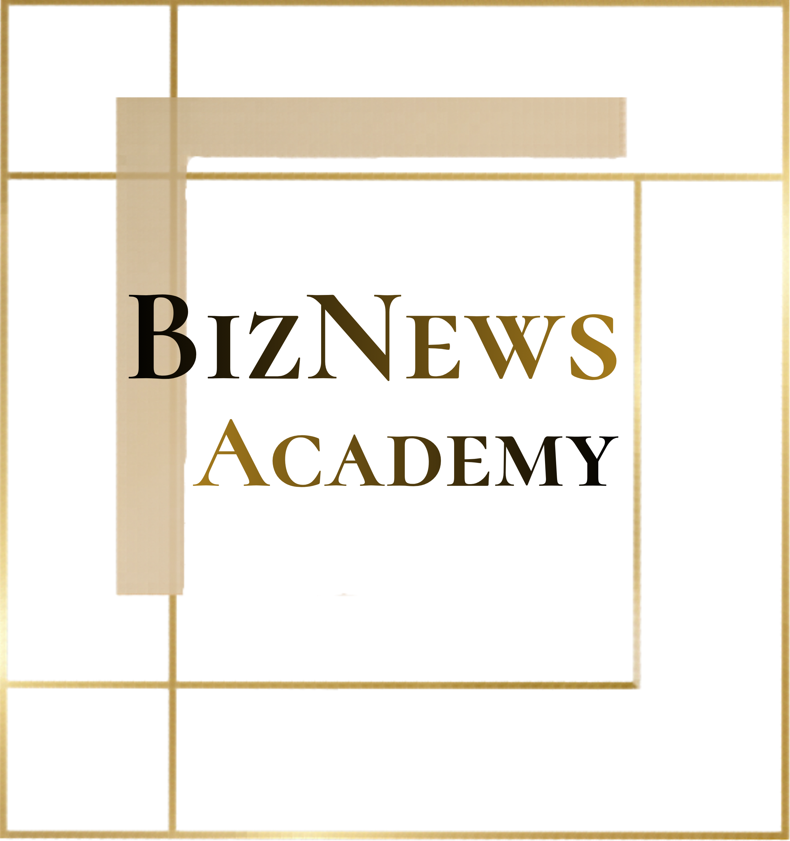 BizNews Academy